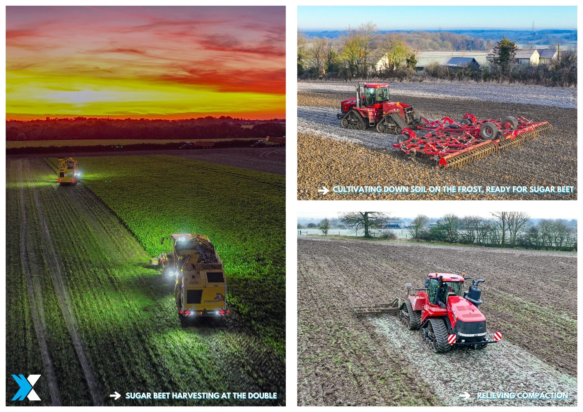 2026 Photo Calendar (Pre-order)